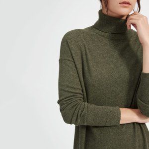 Everlane Cashmere Turtleneck Dress